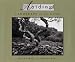 Search : Abiding: Landscape of the Soul