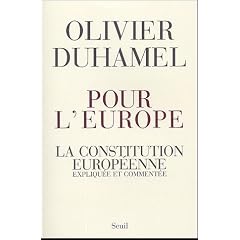 Pour l'Europe : La Constitution europ�enne expliqu�e et comment�e