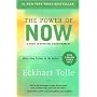 The Power of Now: A Guide to Spiritual Enlightenme&hellip by Eckhart Tolle