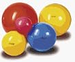 120 cm Gymnic&reg; Therapy Ball