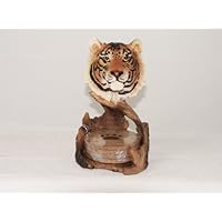 Yellow Tiger Coaster Set Figurine