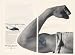 1966 US Marines Sikorsky CH-53A Helicopter Brawny 2-Page Print Ad (43556)