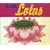 Lotus, Pt. 1