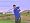 Tiger Woods PGA Tour 2007 (PS2)