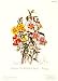 Cistaceae Art Poster Print by Twining, 6x8