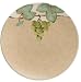 Mikasa Chablis Stoneware Dinner Plate