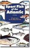 41H3JZGMCRL. SL160  Florida Sportsmans Sport Fish Book