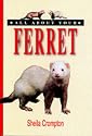 All About Your Ferret