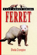 All About Your Ferret