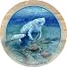 Manatee Thirstystone Coasters - set of 4