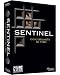 Sentinel: Descendants In Time