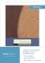 TNIV Thinline Bible (Today's New International Version)