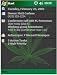 Marijuana Leaf Theme