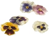 Review Sweetfields  / Sweetfields Candied Edible Flowers, SweetGlaze Pansies, 5-Count Boxes (Pack of 2)