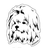 ☆マルチーズ☆DOG FACEステッカー/防水加工