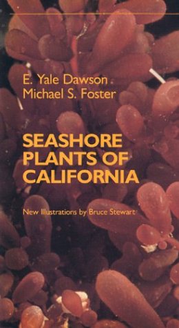seashore plants of california california natural history guides