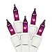 LiteSource 32305 20LT PURPLE/WH 3