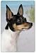Toy Fox Terrier Cutting Board