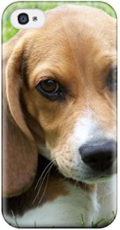 Cute Appearance Cover/tpu ZRIBjFn8970kfaGe Beagle Dog Case For Iphone 4/4s