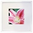 Gallery Frame - White (8x8)