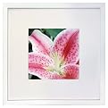 Gallery Frame - White (8x8)
