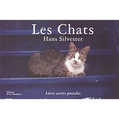Chats : Livre cartes postales d�tachables, 2�me s�rie