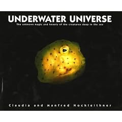 Underwater Universe: The Unknown Magic and Beauty of the Creatures Deep in the Sea