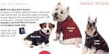 SWEATER FP #26 WHIP-STITCH GREEN SMALL