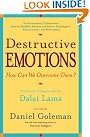 Destructive Emotions: A...
