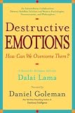 Destructive Emotions: A Scientific Dialogue with the Dalai Lama