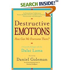 Destructive Emotions: A Scientific Dialogue with the Dalai Lama