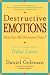 Destructive Emotions: How Can We Overcome Them? : A Scientific Dialogue With the Dalai Lama