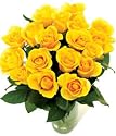 18 Yellow Roses