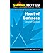 This item: Spark Notes Heart