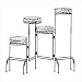 Outdoor Living : 4-TIER PLANT STAND SCREEN