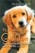 golden retriever - My Rescued Golden: True Stories of Rescued Golden Retrievers and the People Who Love Them