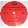 It's Raining Men the Sequel (Vinyl) ~ Martha Wash