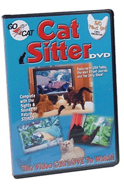 Cat Sitter DVD