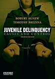Juvenile delinquency : causes and control