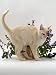   - Domestic Cat, Cream Burmese Juvenile Rubbing Herself on Flowering Catmint / Catnip Photographic Poster Print by Jane Burton, 12x16