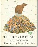 The beaver pond