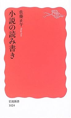 小説の読み書き (岩波新書)