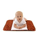 Ah Goo Baby - The Plush Pad Salsa