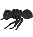 Plush Ant with Sound 7