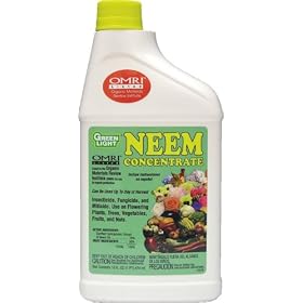 Green Light Organic Neem Concentrate - Pint #17016 Green Light Organic Neem Concentrate - Pint #17016
