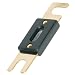 Raptor RANL2002 200 Amp ANL Fuses, 24K Gold Plated, 2 Pack