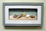 Shell Seashell Starfish Fish Bathroom Room Shadow Box Wall Art