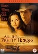All the Pretty Horses [DVD] [2001]