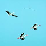 Danish Lucky Storks Mobile