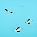 Baby : Danish Lucky Storks Mobile